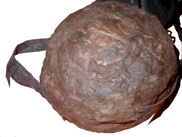 the ball of dung