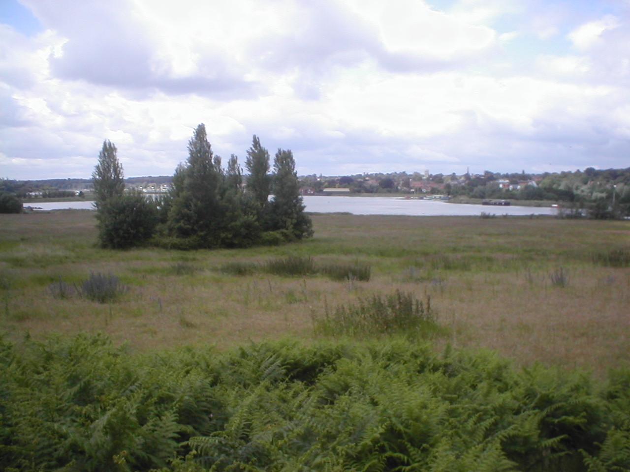 The estuary, just below the site